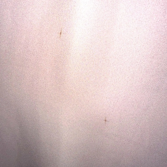 Express Blouse Flutter Sleeves in Blush size XS - Picture 5 of 6